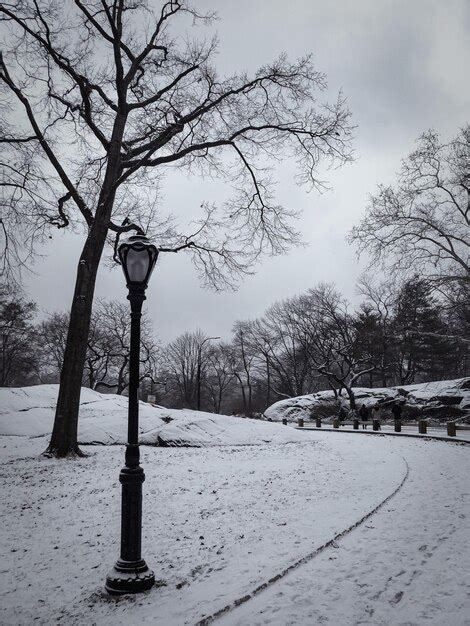 Premium Photo | Central park in winter snow new york manhattan