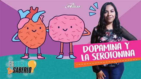 Dopamina Y Serotonina Es Bueno Saberlo Youtube