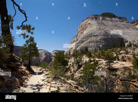 Cathedral Mountain And West Rim Trail Zion National Park Utah Usa