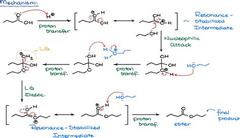 Fischer Esterification — Organic Chemistry Tutor