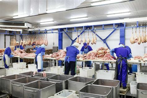 What Victorias Abattoir Rules Mean For The Supply And Price Of Meat