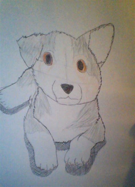 Realistic corgi {finished} by LuluTheCorgi on DeviantArt