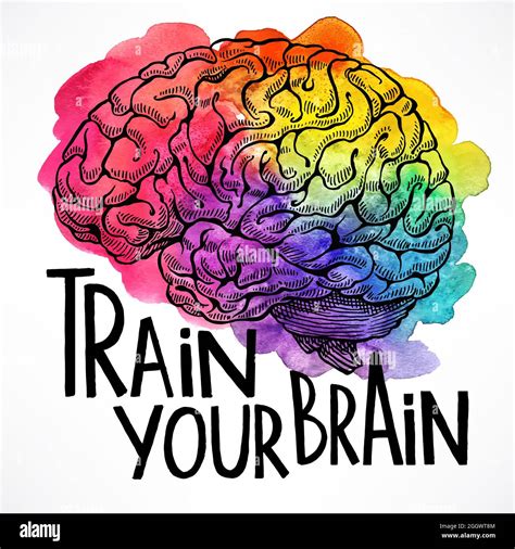 Train Your Brain Beautiful Card With A Human Brain And Motivational