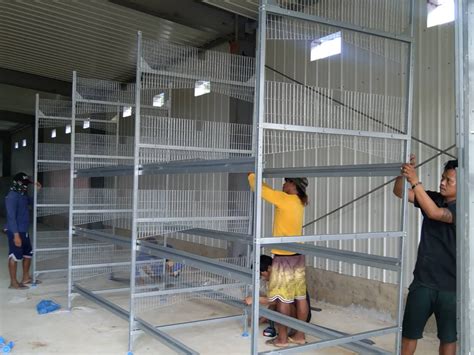 H Type Battery Cage Project Hightop Poultry Equipment