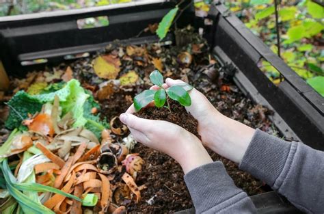 Manfaat Kompos Keajaiban Untuk Lingkungan Dan Pertanian Biotifor