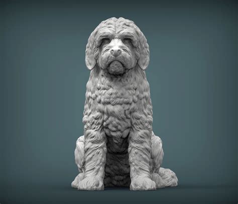 3d File Goldendoodle 3d Print Model 🐕 ・design To Download And 3d Print