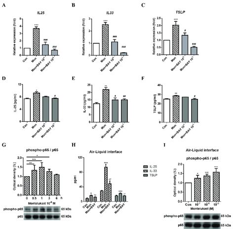 Montelukastinduced Increase In Il Il And Tslp Expression By