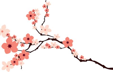 Transparent Cherry Blossom - ClipArt Best