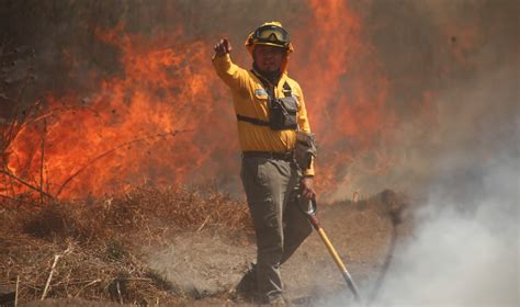 Arrecian En Ciudad De México Los Incendios Forestales El Sur Acapulco