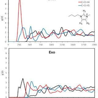 Radial Distribution Functions For The Endo Top And Exo Bottom