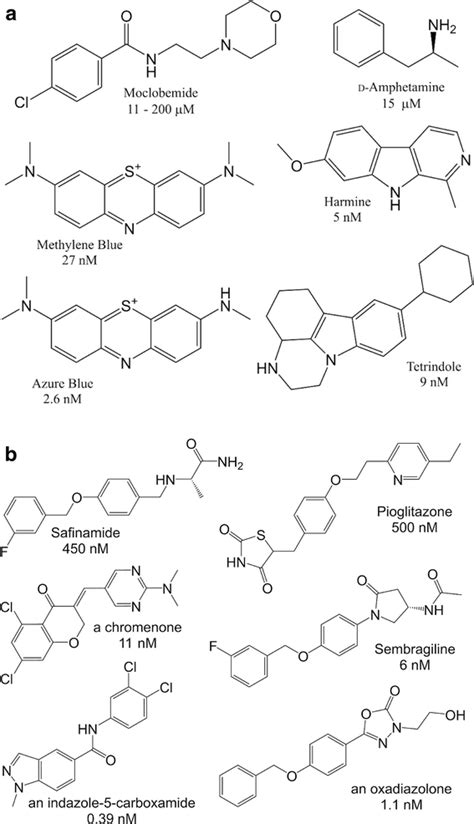 Reversible Inhibitors Of A Mao A With Ki Values And B Mao B With