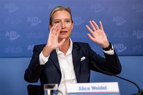 Alice Weidel, Mallorca und das Safehouse: Ärger bei der AfD