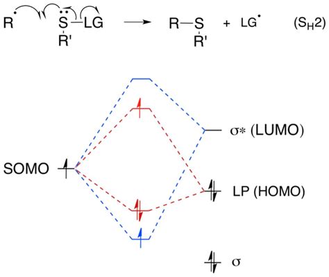 Dual Orbital Interactions Involved In The Homolytic Substitution Download Scientific Diagram