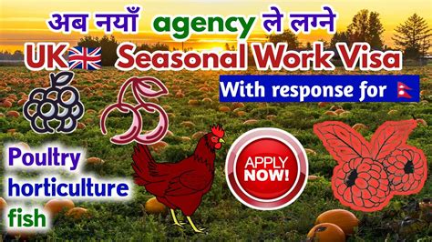 Uk Seasonal Work Visa From Nepal New Update Uk Seasonal Work Visa