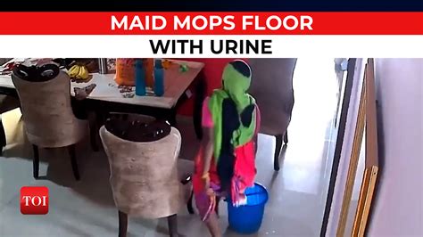 Cctv Watch Cctv Maid Pees In Bucket While Mopping Floor In Greater Noida S Ajnara Society