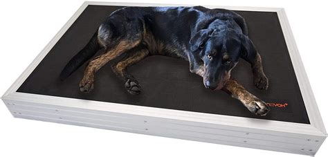 Best Indestructible Dog Bed: Give Comfort to Your Dogs