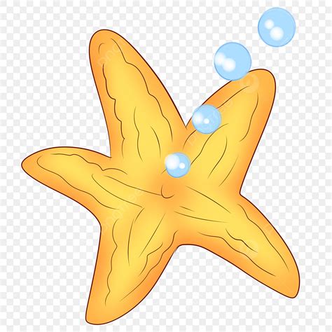 Marine Life Starfish Illustration Cartoon Ocean Yellow Starfish