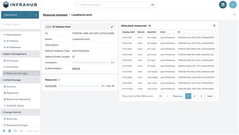 Resource Manager Infrahub Documentation