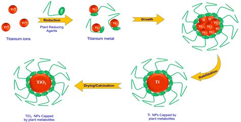 Marine Drugs Free Full Text Green Synthesis Of Tio2 Nanoparticles