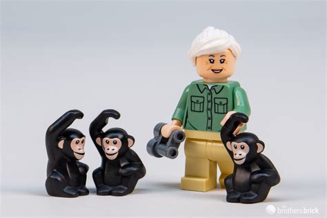 Lego Gwp 40530 Jane Goodall Tribute Tbb Review C91eg 12 The Brothers