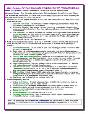 Fillable Online Sde Ct Sample Annual Revenue And Cost Expenditure