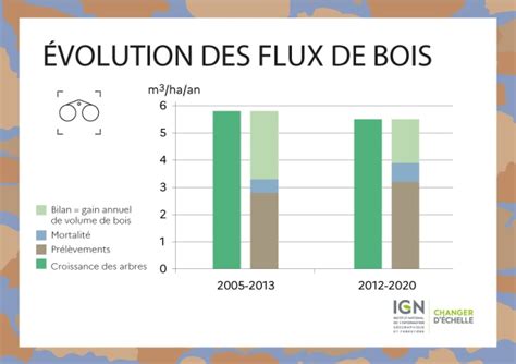 Résultats 2022 De Linventaire Forestier National Une Forêt Française