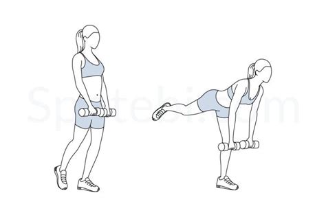 Single Leg Deadlift | Illustrated Exercise Guide | Single leg deadlift ...