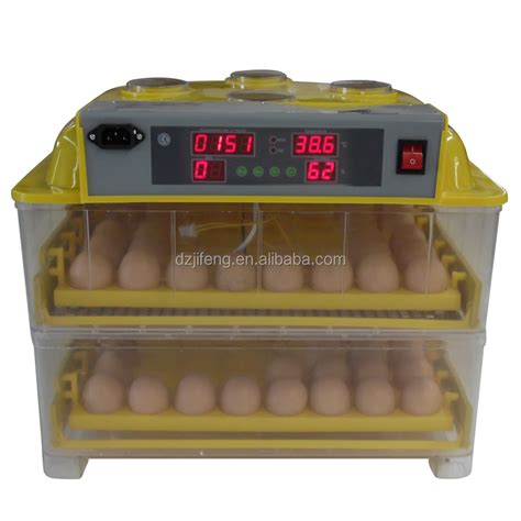 Automatic Wq High Hatching Rate Chicken Eggs Mini Chicken Egg