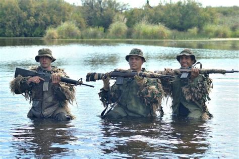 Cold War Garand Conversion The Italian Bm E The Armory Life