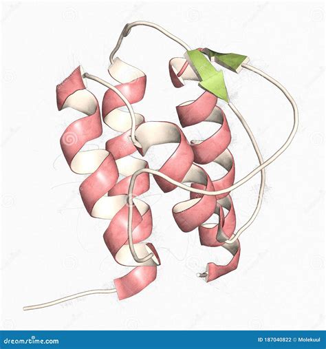 Interleukin 13 (IL-13) Cytokine Protein. 3D Illustration Stock ...