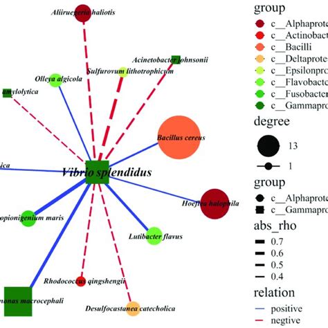Microbial interaction networks of V. splendidus with other major ... 