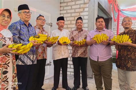 Jatam Lamongan Launching Ripening Pisang Cavendish PWMU CO Portal