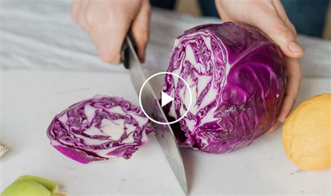 Impressive Benefits of Purple Cabbage – Spirited Holidays