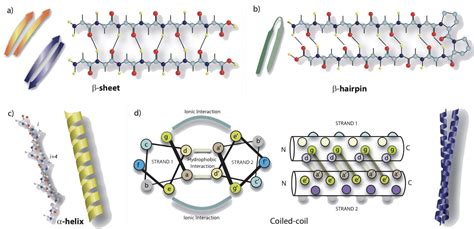 Self Assembling Peptide Hydrogel As A Versatile Drug Delivery Platform