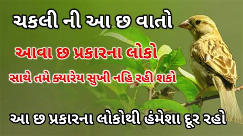 ચકલન આવ છ વત આવ છ પરકરન લક સથ તમન સખ શત નહ મળ આ