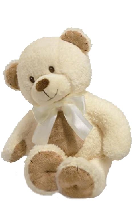 Cozy Cuddles Teddy Bear For Baby Baskets Galore Com Baskets Galore