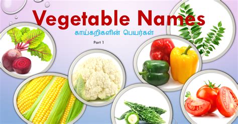 Steps To Prepare Vegetables Names In Tamil With Pictures