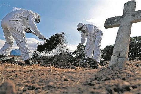 Bem Paran Paran Registra Semestre Menos Nascimentos E Mais