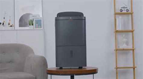 Which Brand Of Dehumidifier Is Good Top 3 Best Dehumidifier Brands Today
