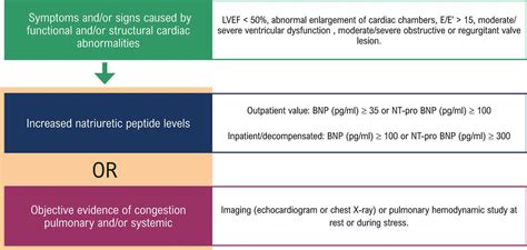 Sbc Sociedade Brasileira De Cardiologia