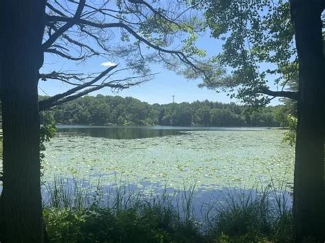 Best Hikes And Trails In Piney Run Park Alltrails