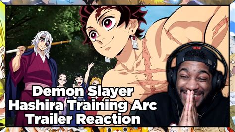 All The Hashira Are Here Now Demon Slayer Hashira Training Arc Trailer Reaction Breakdown