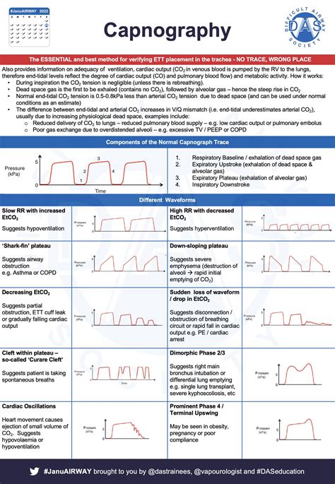 Basics Of Waveform Capnography Waveform Capnography Grepmed 44 Off