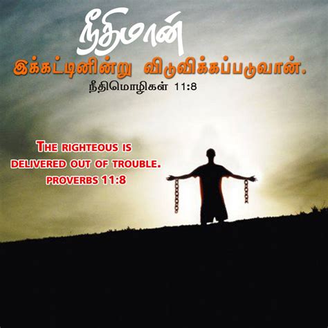 Tamil Bible Search