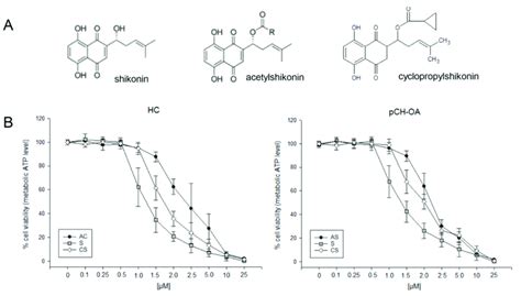 Influence Of Shikonin Derivatives In Chondrocyte Viability A