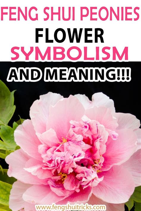 Feng Shui Peonies Flower Symbolism In Peony Flower Tattoos