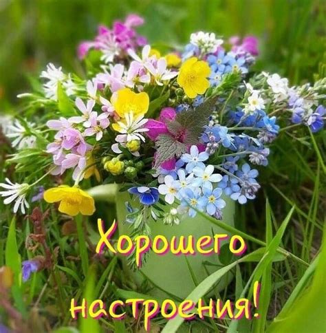 Аленький цветочек | ВКонтакте | Beautiful morning messages, Instagram ...