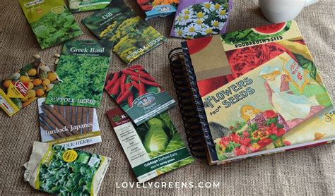 Best Seed Catalogs For Organic Heirloom Non Gmo Vegetables Artofit