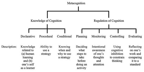 Theoretical Framework Of Metacognition Download Scientific Diagram