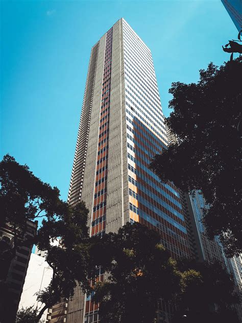 high rise building      high rise building